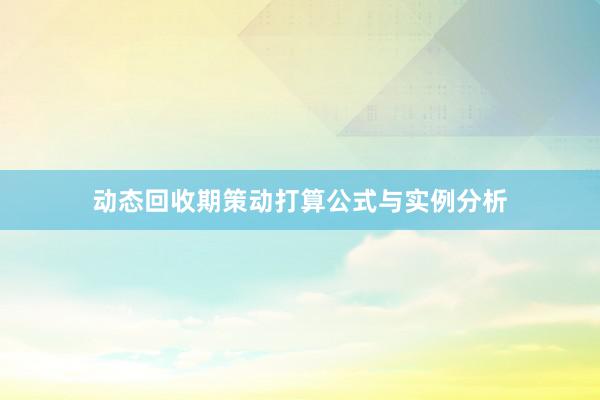动态回收期策动打算公式与实例分析